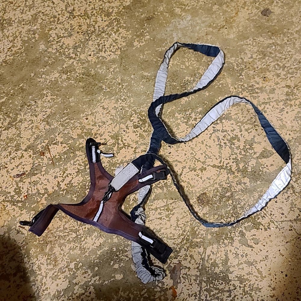 Small animal harness